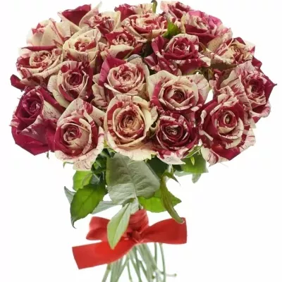 Kytice 21 žíhaných růží HARLEQUIN 40cm