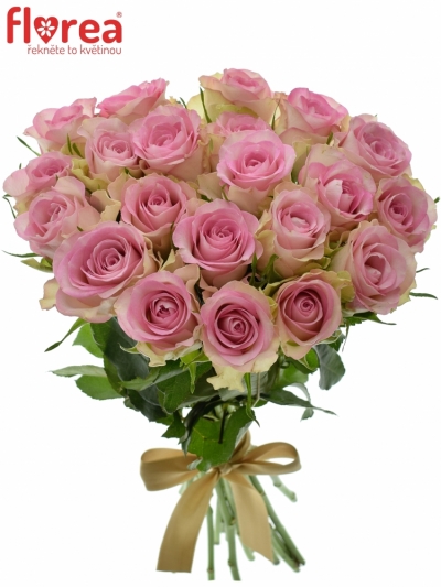 Kytice 21 žíhaných růží LOVELY JEWEL 40cm