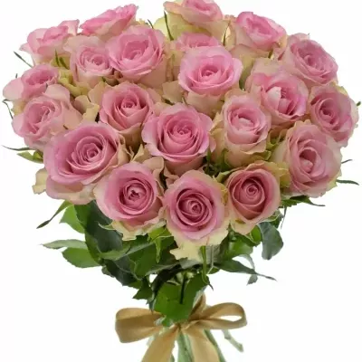 Kytice 21 žíhaných růží LOVELY JEWEL 40cm