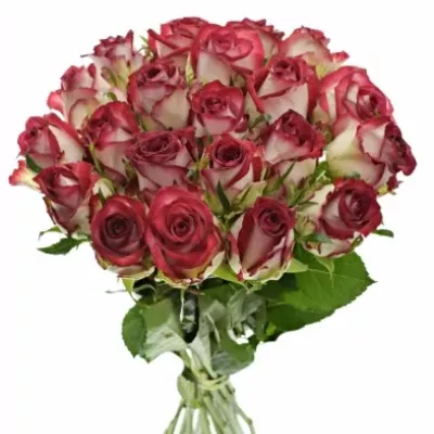 Kytice 21 žíhaných růží PARADISO 40cm
