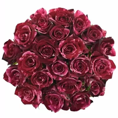 Kytice 21 žíhaných růží RED STORM