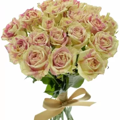 Kytice 21 žíhaných růží SWEET HARLEQUIN 40cm