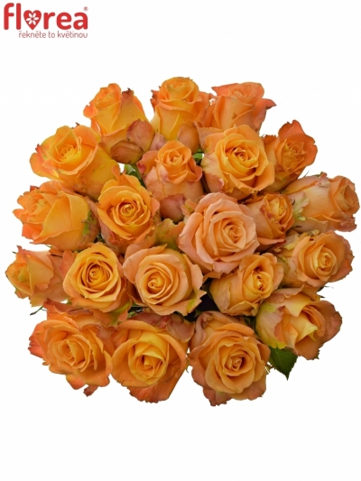 Kytice 21 žlutooranžových růží CUENCA+ 60cm