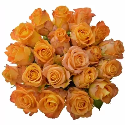 Kytice 21 žlutooranžových růží MORNING SUN 40cm