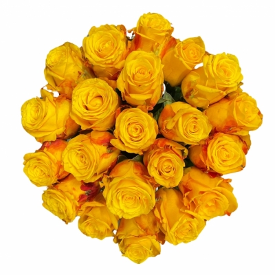 Kytice 21 žlutých růží CANDLELIGHT 60 cm