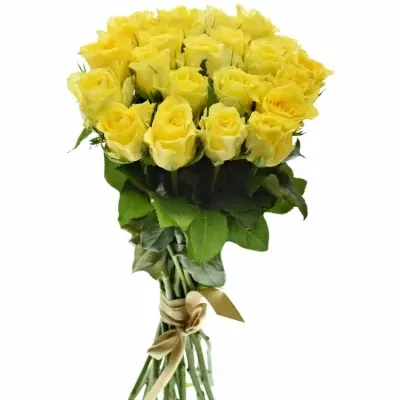 Kytice 21 žlutých růží GOLDEN TOWER 50 cm