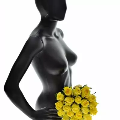 Kytice 21 žlutých růží Penny Lane 50cm