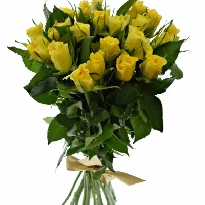 Kytice 21 žlutých růží SUNNY SHER 40cm