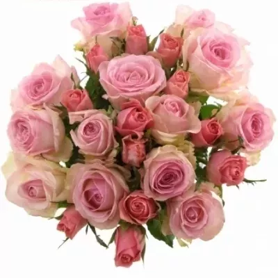 Míchaná kytice 25 vícebarevných růží ALISHA 50 cm
