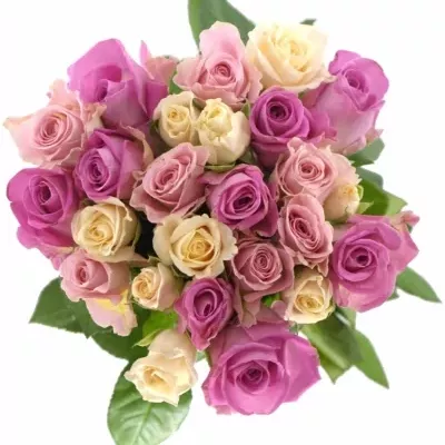Kytice 25 vícebarevných růží ANACLETO 50 cm