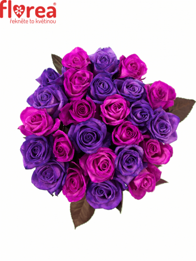 Kytice 25 barvených růží ABDERA 70cm