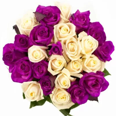 Jednodruhová kytice 25 vícebarevných růží ATLANTA 50 cm