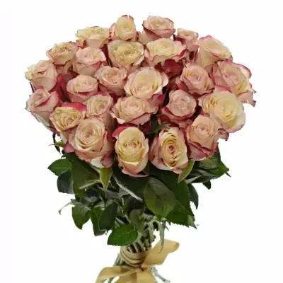 Kytice 25 bílorůžových růží ADVANCE SWEETNESS 40cm