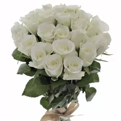 Kytice 25 bílých růží AKITO