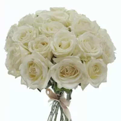 Kytice 25 bílých růží ALBATROS