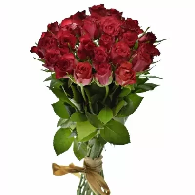 Kytice 25 červenofialových růží DARK LULU 50 cm