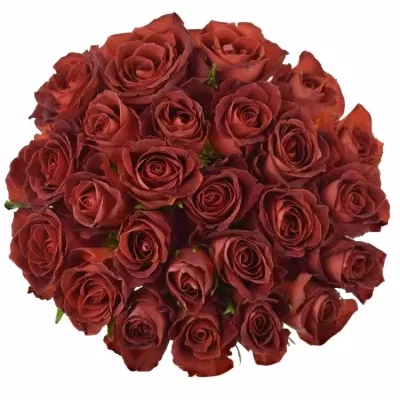 Kytice 25 červenohnědých růží CAFE DEL MAR 50cm