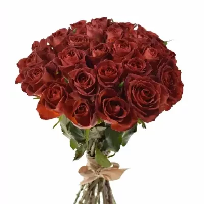 Kytice 25 červenohnědých růží CAFE DEL MAR