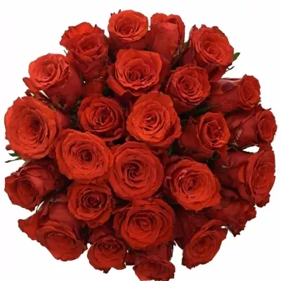 Jednodruhová kytice 25 červených růží BRIGHT TORCH 70 cm