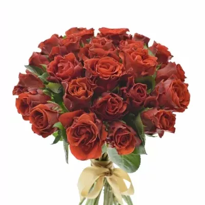 Kytice 25 červených růží EL TORO 30cm