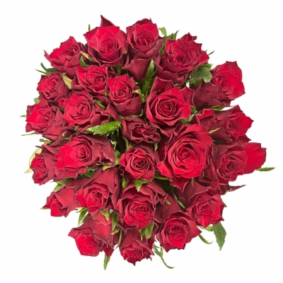 Kytice 25 červených růží INFRARED 50 cm