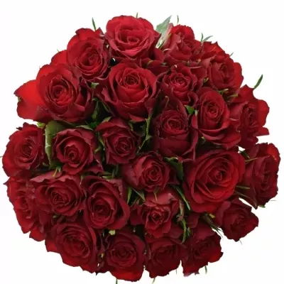 Kytice 25  červených růží MANDY 70cm