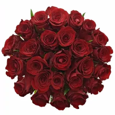 Kytice 25 červených růží MILLION REASONS 70cm