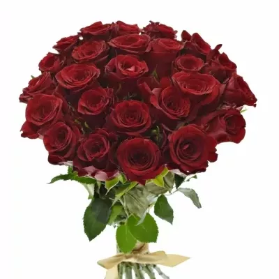 Kytice 25 červených růží MILLION REASONS