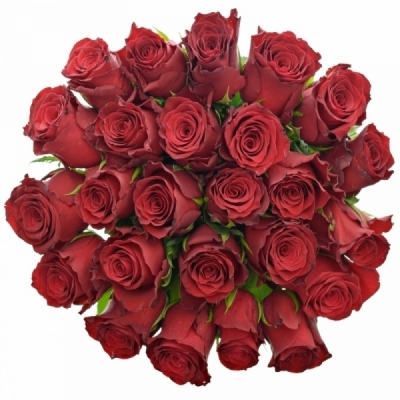 Kytice 25 červených růží RED BENTLEY