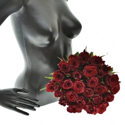 Kytice 25 červených růží RED MOUNTAIN