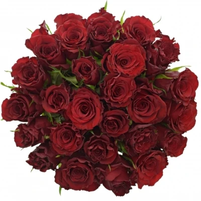 Kytice 25 červených růží RED MOUNTAIN