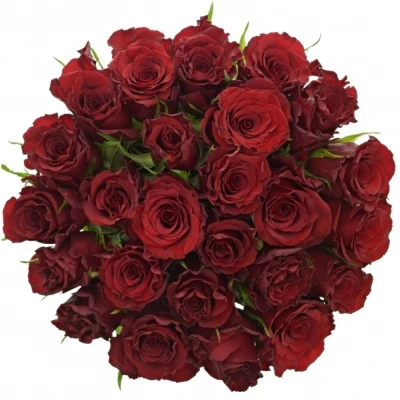 Kytice 25 červených růží RED MOUNTAIN