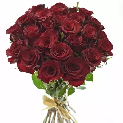 Kytice 25 červených růží RED PARIS 50cm