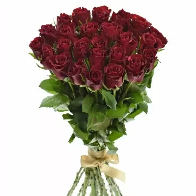 Kytice 25 červených růží SAMOURAI 40cm
