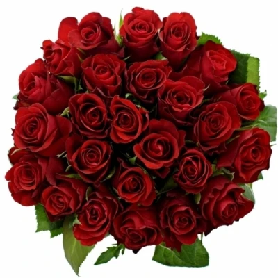 Jednodruhová kytice 25 červených růží SIMPLY RED 70 cm