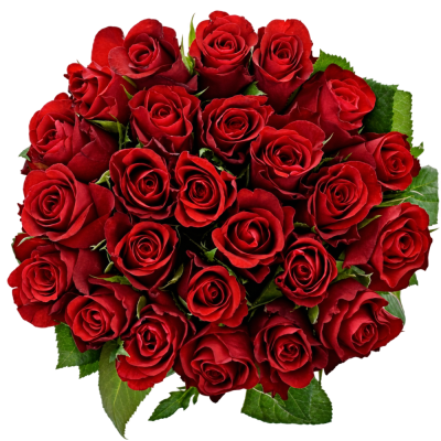 Kytice 25 červených růží SIMPLY RED