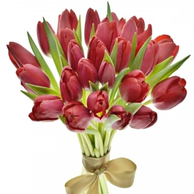 Kytice 25 červených tulipánů STRONG LOVE