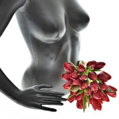 Kytice 25 červených tulipánů STRONG LOVE