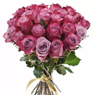 Kytice 25 fialových růží DEEP PURPLE 40cm