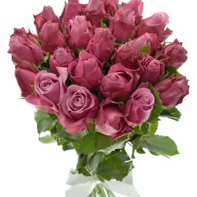 Kytice 25 fialových růží DEEP WATER 40cm