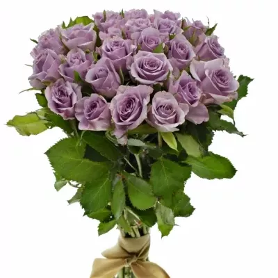 Kytice 25 fialových růží JAZZ 40cm