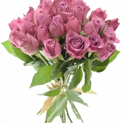 Kytice 25 fialových růží NEW ORLEANS 40cm