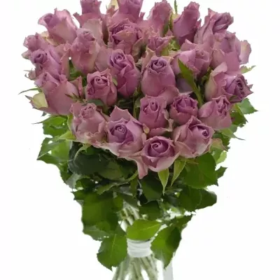 Kytice 25 fialových růží NIGHTINGALE 40cm