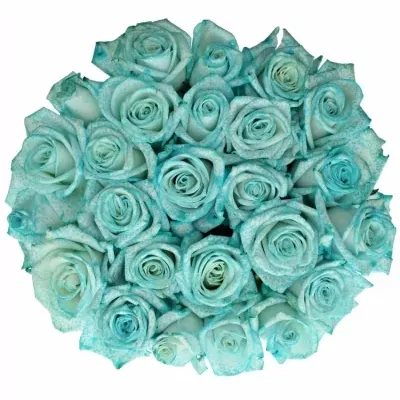 Kytice 25 ledově modrých růží ICE BLUE VENDELA 60cm