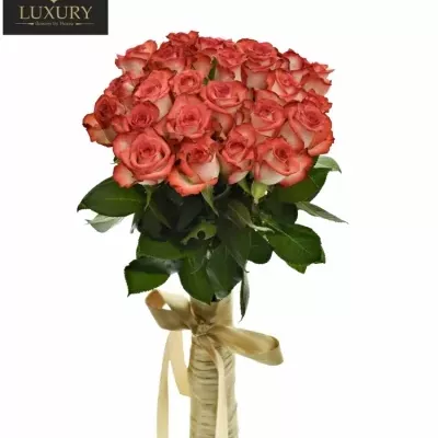 Kytice 25 luxusních růží BLUSH 70cm