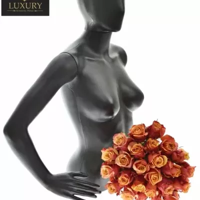 Kytice 25 luxusních růží CHERRY BRANDY 70cm
