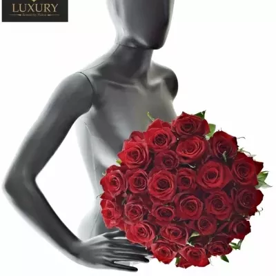 Kytice 25 luxusních růží EVER RED 100cm