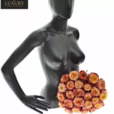 Kytice 25 luxusních růží HURRICANE 50cm
