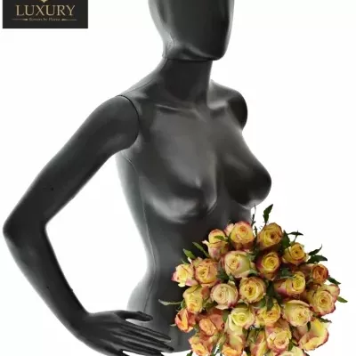 Kytice 25 luxusních růží KNOX 70cm