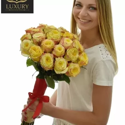 Kytice 25 luxusních růží KRYPTONITE 60cm
